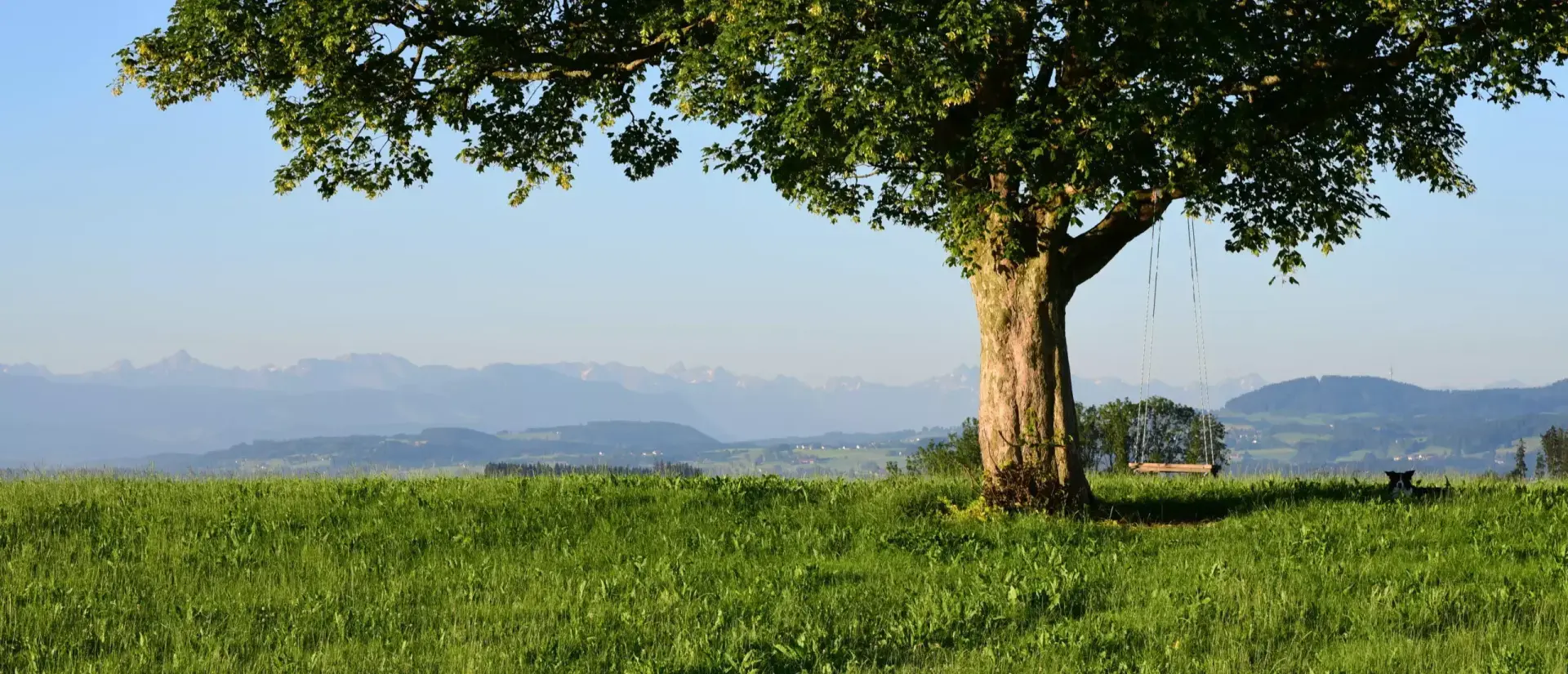 Psychosomatische Privatklinik Bad Grönenbach